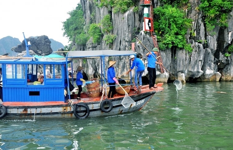 Năm nay, Hạ Long được chọn làm địa điểm tổ chức mít tinh của chương trình. Ảnh: minh họa. Năm nay, Hạ Long được chọn làm địa điểm tổ chức mít tinh của chương trình. Ảnh: minh họa.
