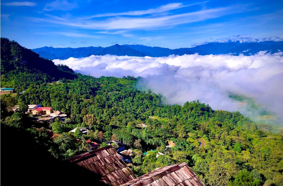 Với thảo thơm của cây chè cổ thụ Shan Tuyết và khí hậu thổ nhưỡng Suối Giàng, cùng với đam mê và tấm lòng của Sơn dành cho đồng bào Mông nơi đây, chắc chắn ước mơ 'Trà Phong' sẽ sớm trở thành hiện thực. Ảnh: Việt Hùng. Với thảo thơm của cây chè cổ thụ Shan Tuyết và khí hậu thổ nhưỡng Suối Giàng, cùng với đam mê và tấm lòng của Sơn dành cho đồng bào Mông nơi đây, chắc chắn ước mơ 'Trà Phong' sẽ sớm trở thành hiện thực. Ảnh: Việt Hùng.