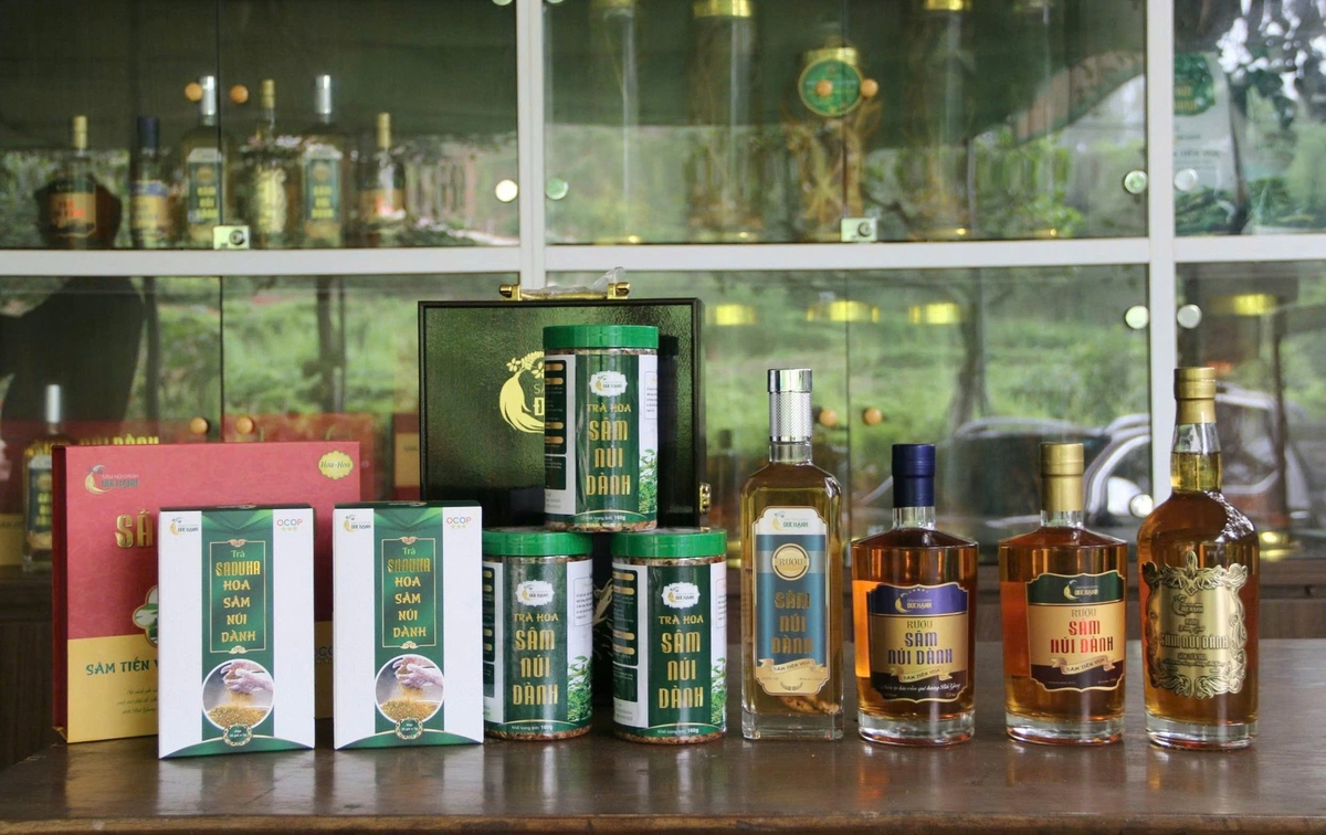 Các bộ phận của Sâm núi Dành gồm có: hoa, cây, lá và củ sâm tươi được chế biến thành nhiều sản phẩm tiêu dùng như: Sâm hòa tan, trà hoa sâm, sâm đóng túi, rượu sâm, hoa sâm tươi và sấy khô, củ sâm tươi và sấy khô, cây rễ lá sấy khô... Các bộ phận của Sâm núi Dành gồm có: hoa, cây, lá và củ sâm tươi được chế biến thành nhiều sản phẩm tiêu dùng như: Sâm hòa tan, trà hoa sâm, sâm đóng túi, rượu sâm, hoa sâm tươi và sấy khô, củ sâm tươi và sấy khô, cây rễ lá sấy khô...