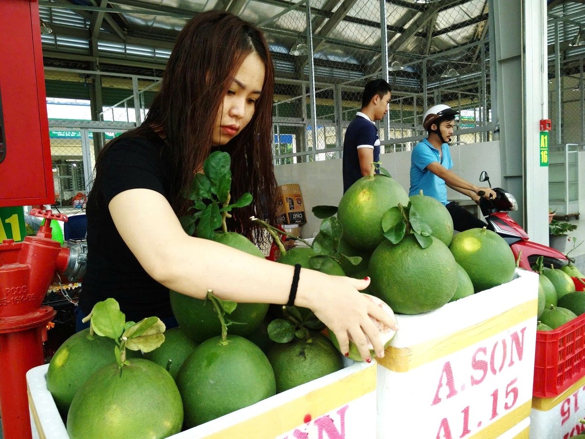 Vào mỗi dịp hè, lượng trái cây địa phương như xoài, bưởi, quýt, sầu riêng, chôm chôm, măng cụt…về chợ đầu mối nông sản, thực phẩm Dầu Giây tăng mạnh. Ảnh: Minh Sáng. Vào mỗi dịp hè, lượng trái cây địa phương như xoài, bưởi, quýt, sầu riêng, chôm chôm, măng cụt…về chợ đầu mối nông sản, thực phẩm Dầu Giây tăng mạnh. Ảnh: Minh Sáng.