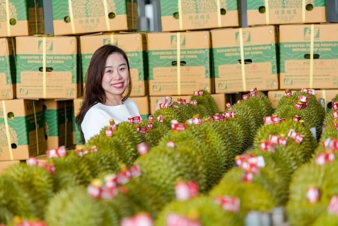 Bà Ngô Tường Vy, Giám đốc Công ty Cổ phần Tập đoàn Xuất - Nhập khẩu trái cây Chánh Thu. Ảnh: Võ Việt. Bà Ngô Tường Vy, Giám đốc Công ty Cổ phần Tập đoàn Xuất - Nhập khẩu trái cây Chánh Thu. Ảnh: Võ Việt.