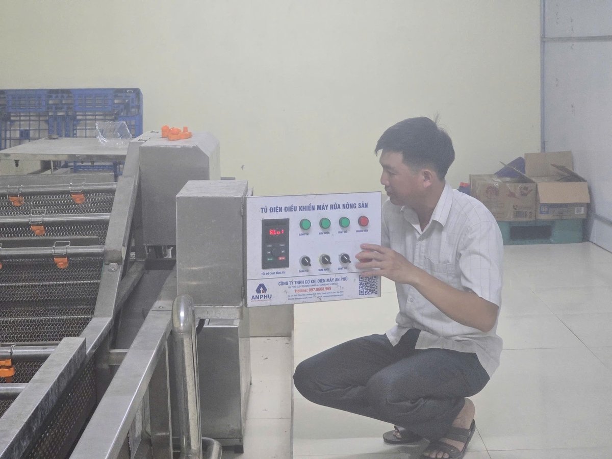 Nhiều đơn vị đã đầu tư dây chuyền phân loại tự động, rửa – sấy – đóng gói theo tiêu chuẩn xuất khẩu, đặc biệt phục vụ các đơn hàng lớn, có yêu cầu cao về kỹ thuật. Ảnh: Phạm Minh. Nhiều đơn vị đã đầu tư dây chuyền phân loại tự động, rửa – sấy – đóng gói theo tiêu chuẩn xuất khẩu, đặc biệt phục vụ các đơn hàng lớn, có yêu cầu cao về kỹ thuật. Ảnh: Phạm Minh.