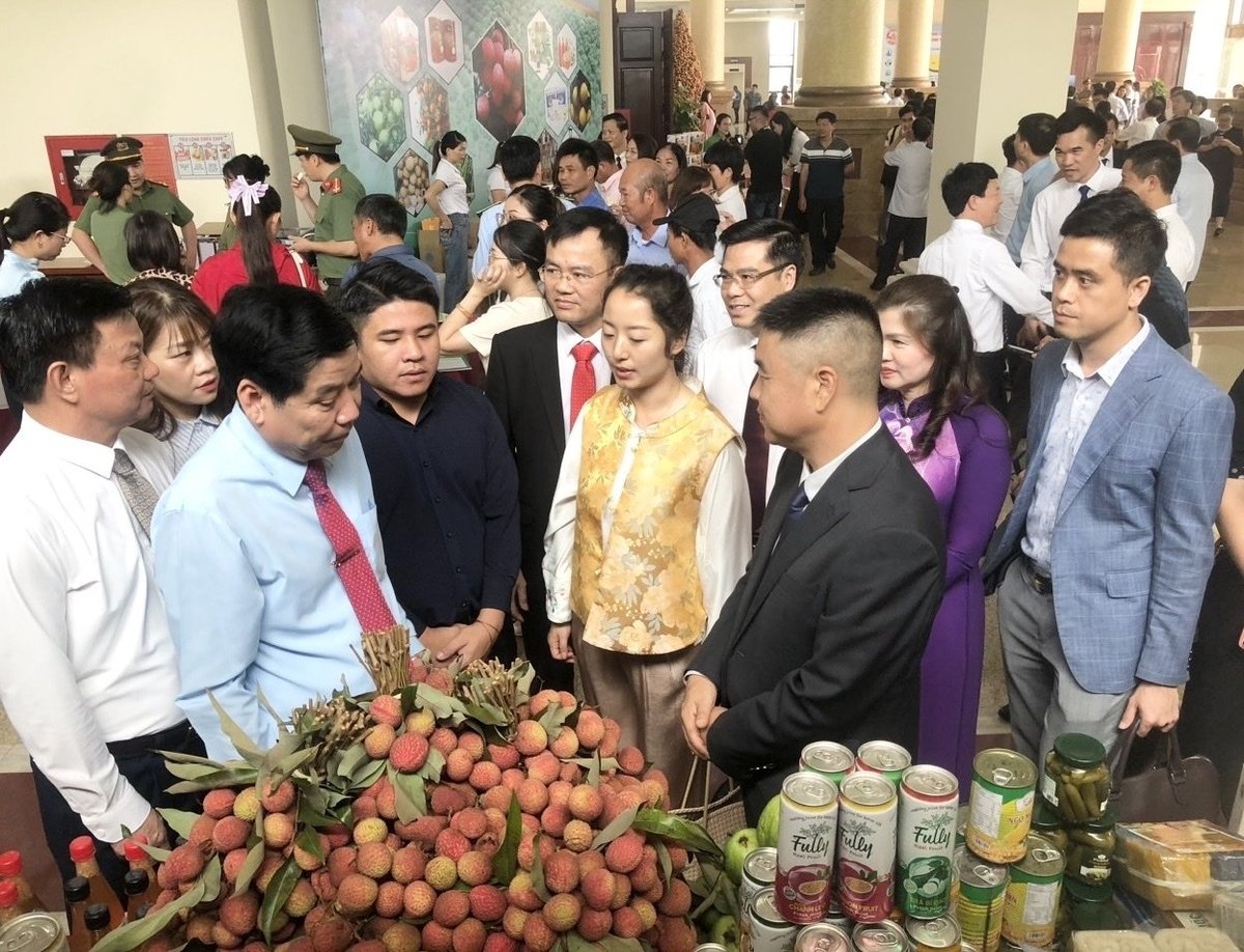 Vải thiều Lục Ngạn - Chũ nhận được rất nhiều sự quan tâm từ lãnh đạo địa phương và cộng đồng doanh nghiệp. Ảnh: Phạm Minh. Vải thiều Lục Ngạn - Chũ nhận được rất nhiều sự quan tâm từ lãnh đạo địa phương và cộng đồng doanh nghiệp. Ảnh: Phạm Minh.
