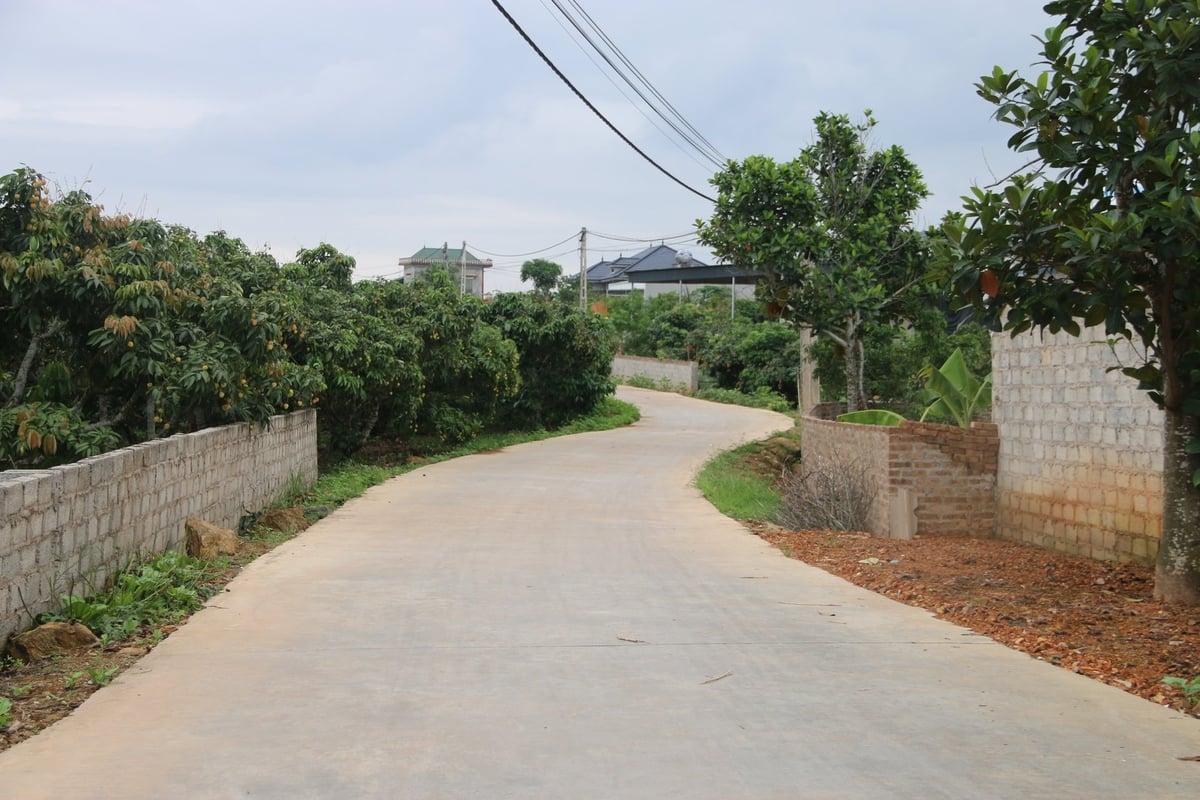 Những con đường bê tông uốn lượn trong những vườn vải thiều bạt ngàn luôn gây ấn tượng cho bất cứ ai đặt chân qua đây. Ảnh: Đinh Mười. Những con đường bê tông uốn lượn trong những vườn vải thiều bạt ngàn luôn gây ấn tượng cho bất cứ ai đặt chân qua đây. Ảnh: Đinh Mười.