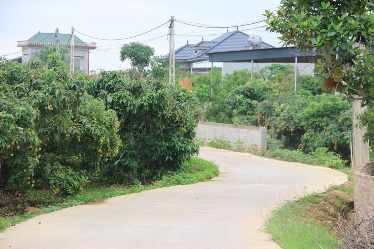 Những vườn vải thiều đẹp như tranh vẽ luôn gây ấn tượng cho bất cứ ai đặt chân qua đây. Ảnh: Đinh Mười. Những vườn vải thiều đẹp như tranh vẽ luôn gây ấn tượng cho bất cứ ai đặt chân qua đây. Ảnh: Đinh Mười.