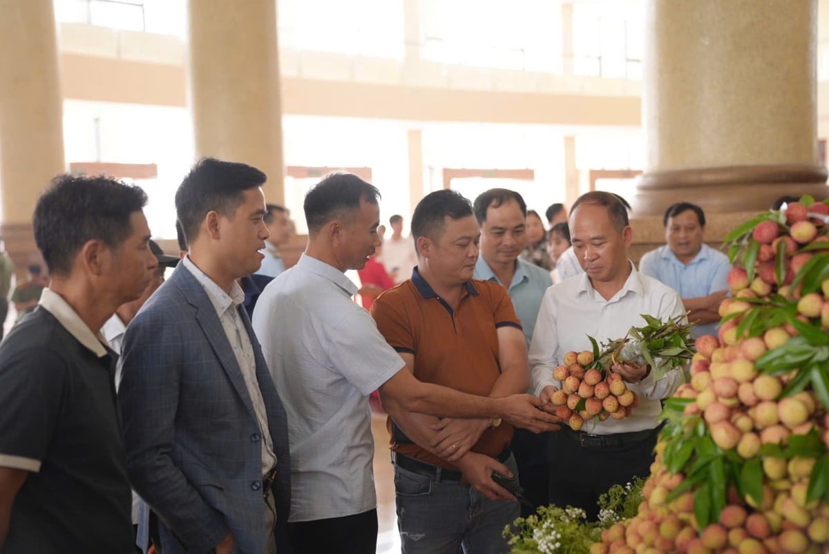 UBND tỉnh Bắc Giang tổ chức hội nghị xúc tiến tiêu thụ vải thiều và các nông sản chủ lực, đặc trưng, sản phẩm OCOP của tỉnh Bắc Giang năm 2025. Ảnh: Phạm Minh. UBND tỉnh Bắc Giang tổ chức hội nghị xúc tiến tiêu thụ vải thiều và các nông sản chủ lực, đặc trưng, sản phẩm OCOP của tỉnh Bắc Giang năm 2025. Ảnh: Phạm Minh.