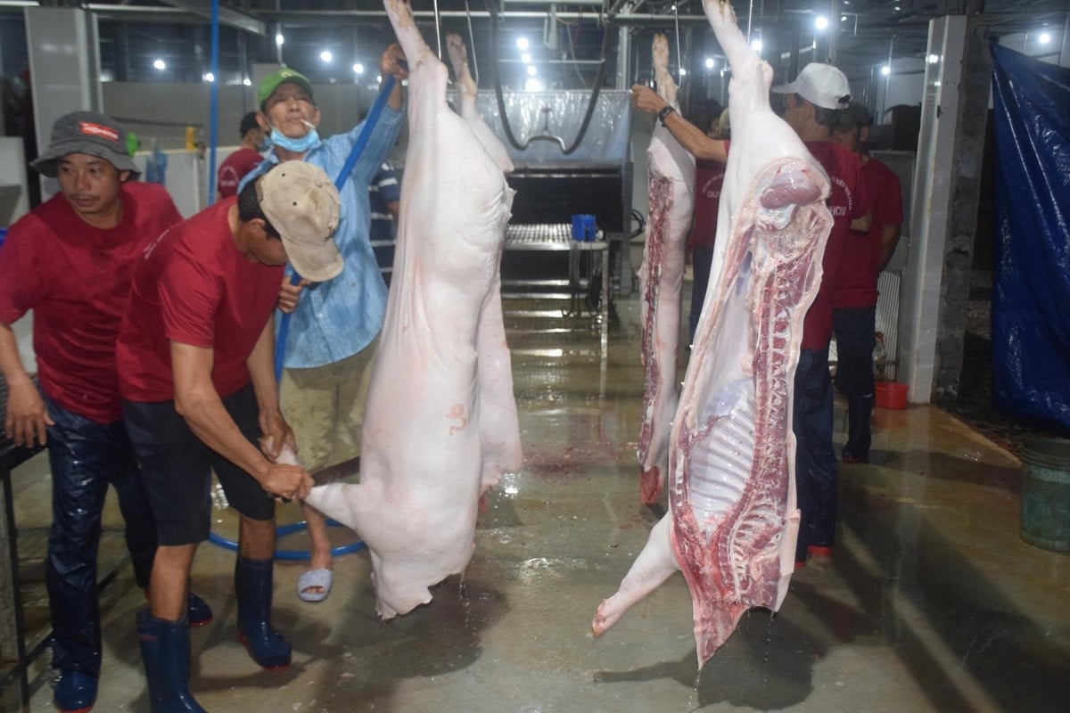 Đắk Nông đã ban hành rất nhiều các chính sách hỗ trợ liên quan đến việc đầu tư, xây dựng cơ sở giết mổ động vật tập trung. Ảnh: PC. Đắk Nông đã ban hành rất nhiều các chính sách hỗ trợ liên quan đến việc đầu tư, xây dựng cơ sở giết mổ động vật tập trung. Ảnh: PC.