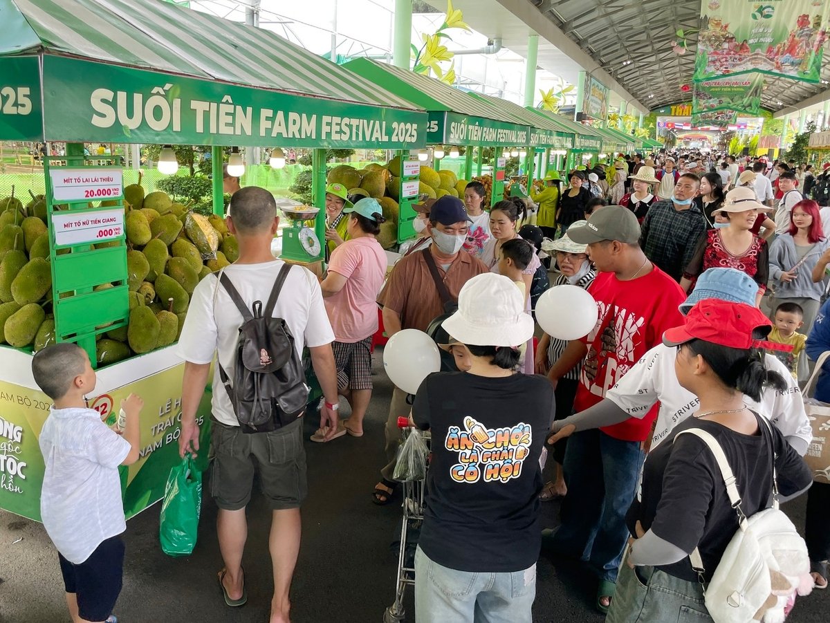 Rất đông người dân và du khách đến tham quan, thưởng lãm và lựa chọn trái cây tại Lễ hội Trái cây Nam Bộ 2025. Ảnh: T.D.