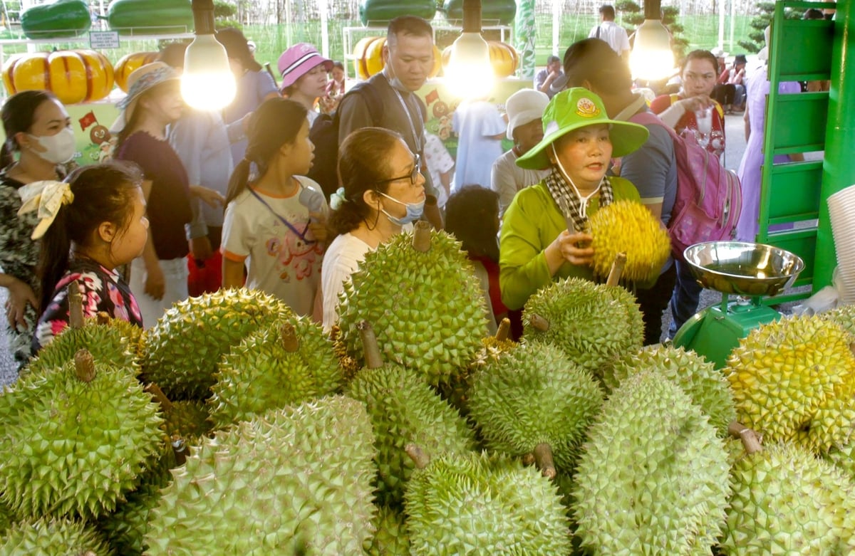 Nhiều loại trái cây đặc sản của các vùng Nam bộ được du khách và người dân ưa thích. Ảnh: H.P.