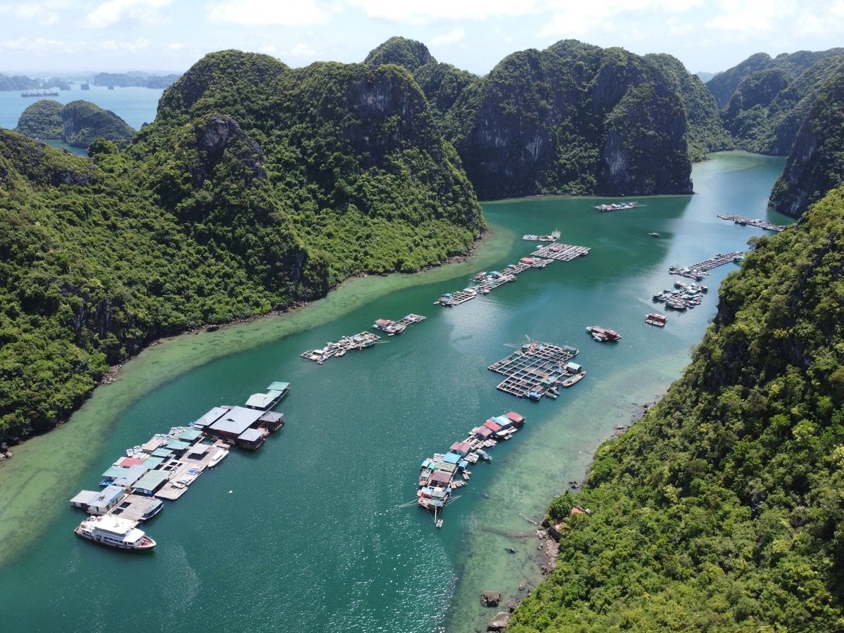 Nhiều năm qua, vịnh Hạ Long thực hiện mạnh mẽ chương trình không rác thải nhựa. Ảnh: Tùng Đinh. Nhiều năm qua, vịnh Hạ Long thực hiện mạnh mẽ chương trình không rác thải nhựa. Ảnh: Tùng Đinh.