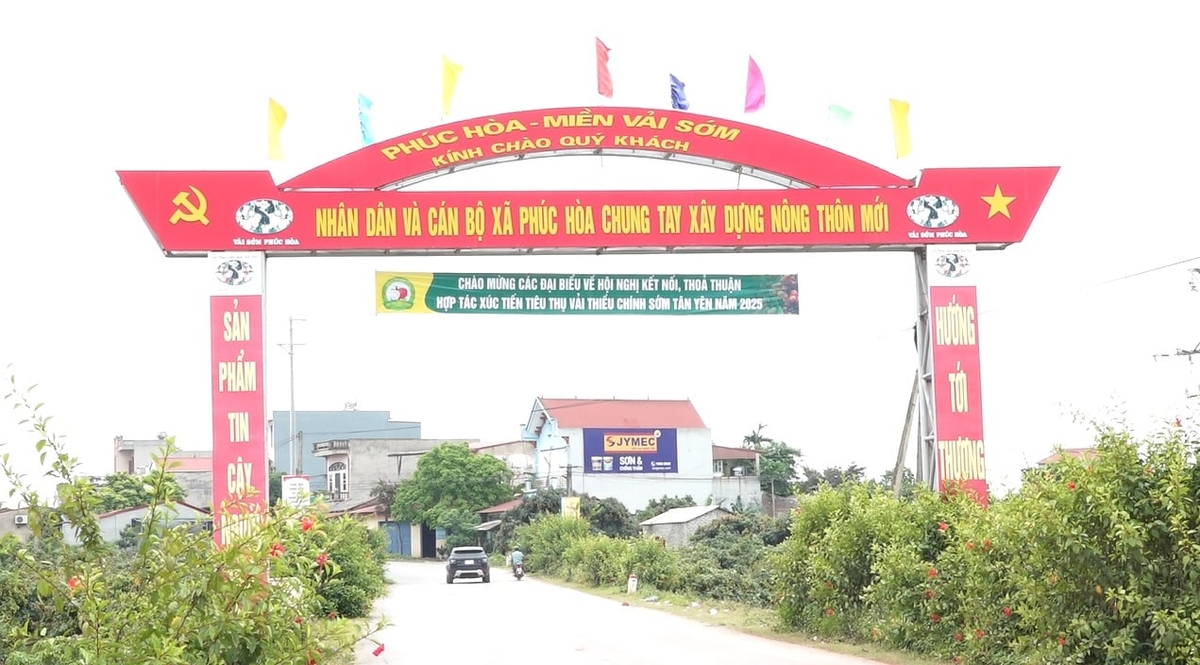 Những con đường khang trang, sạch đẹp tại xã Phúc Hòa, huyện Tân Yên. Ảnh: Phạm Minh. Những con đường khang trang, sạch đẹp tại xã Phúc Hòa, huyện Tân Yên. Ảnh: Phạm Minh.