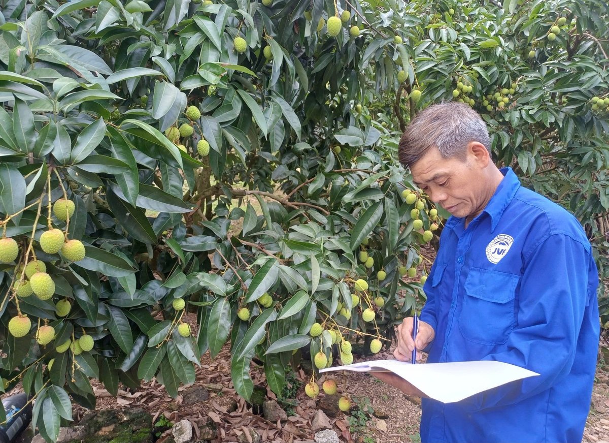 Người dân ghi chép cẩn thận nhật ký chăm sóc, từ ngày phun thuốc bảo vệ thực vật, bón phân đến chỉ số sinh trưởng của cây nhằm bảo đảm quy trình phục vụ tiêu thụ thị trường trong nước và xuất khẩu. Người dân ghi chép cẩn thận nhật ký chăm sóc, từ ngày phun thuốc bảo vệ thực vật, bón phân đến chỉ số sinh trưởng của cây nhằm bảo đảm quy trình phục vụ tiêu thụ thị trường trong nước và xuất khẩu.