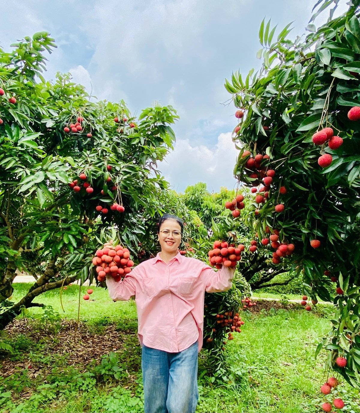 Bà Nguyễn Thị Uyên, Phó Giám đốc HTX Du lịch cộng đồng Garden Việt (phường Thanh Hải, thị xã Chũ) thăm vườn vải liên kết với HTX để chuẩn bị đón khách tham quan trải nghiệm mùa vải chín. Ảnh: Phạm Minh. Bà Nguyễn Thị Uyên, Phó Giám đốc HTX Du lịch cộng đồng Garden Việt (phường Thanh Hải, thị xã Chũ) thăm vườn vải liên kết với HTX để chuẩn bị đón khách tham quan trải nghiệm mùa vải chín. Ảnh: Phạm Minh.