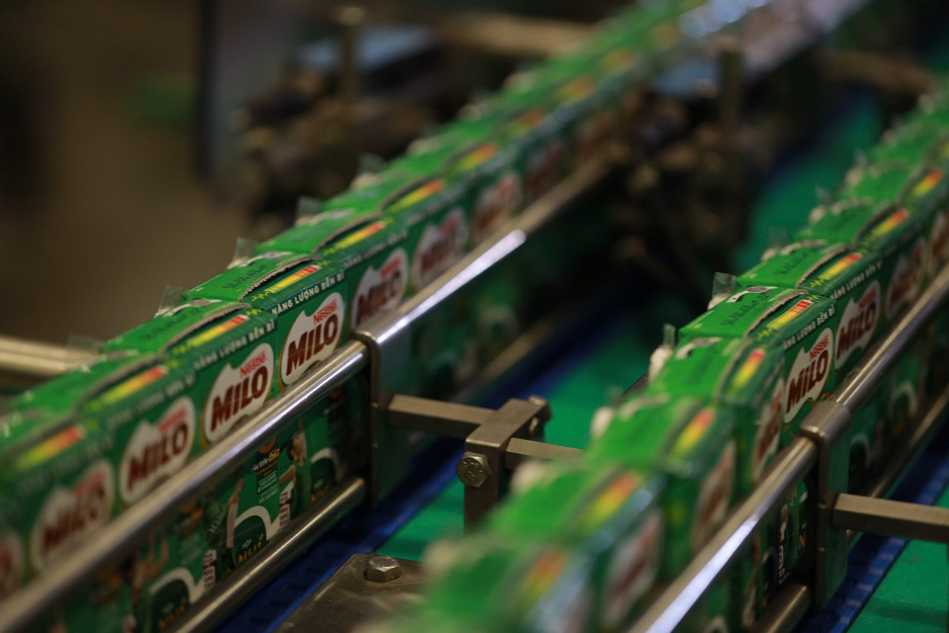Sản phẩm sữa lúa mạch Nestlé Milo. Ảnh: Nestlé. Sản phẩm sữa lúa mạch Nestlé Milo. Ảnh: Nestlé.