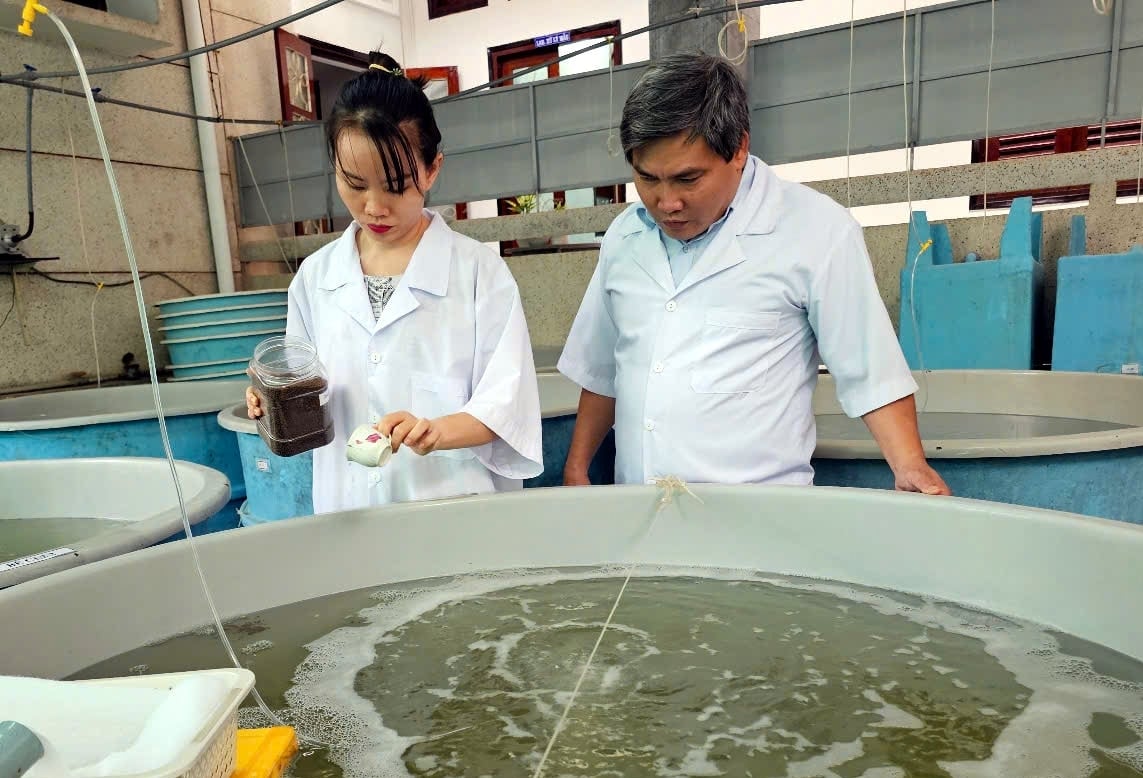 Viện III đang nỗ lực nghiên cứu khoa học để thúc đẩy phát triển nuôi biển. Ảnh: KS. Viện III đang nỗ lực nghiên cứu khoa học để thúc đẩy phát triển nuôi biển. Ảnh: KS.