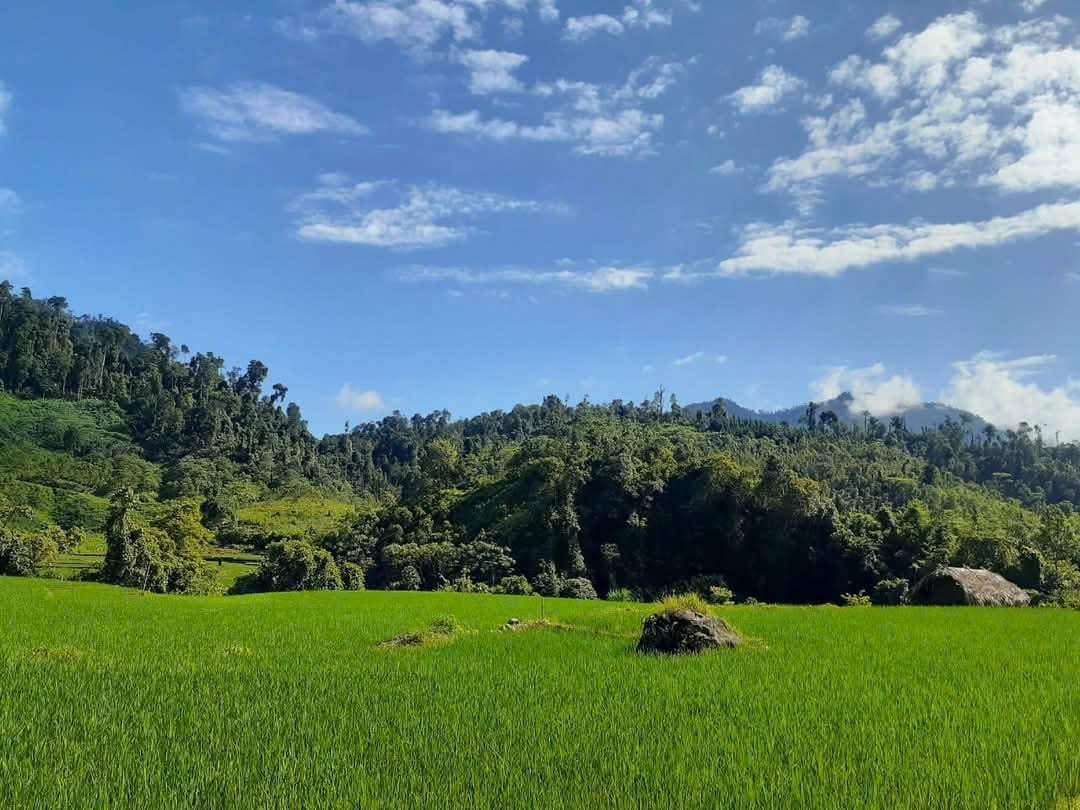 Huyện Văn Yên là vùng đất trù phú, có cảnh sắc thiên nhiên hùng vĩ, tươi đẹp. Ảnh: Thanh Tiến. Huyện Văn Yên là vùng đất trù phú, có cảnh sắc thiên nhiên hùng vĩ, tươi đẹp. Ảnh: Thanh Tiến.