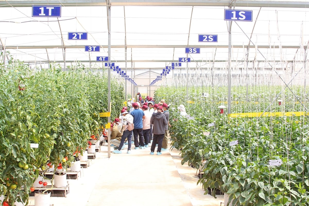 High-tech agriculture plays a vital role in advancing the green economy.