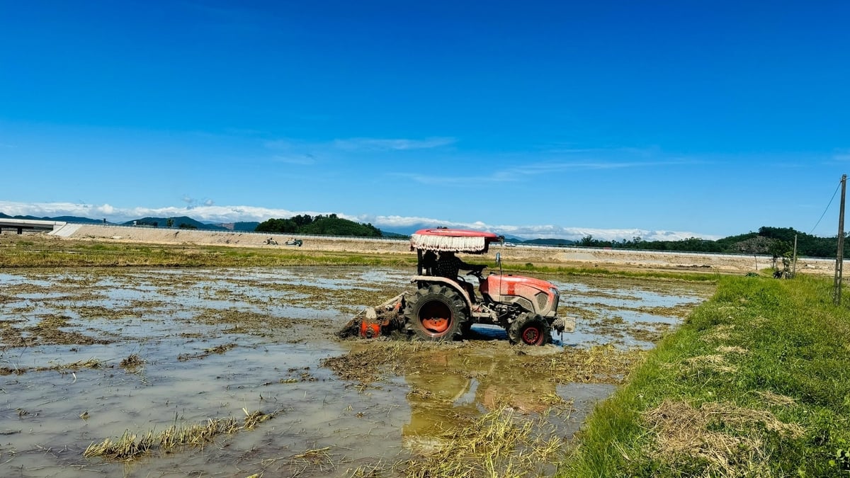 Thu hoạch lúa tới đâu, bà con làm đất tới đó để kịp xuống giống vụ hè thu. Ảnh: Ánh Nguyệt.
