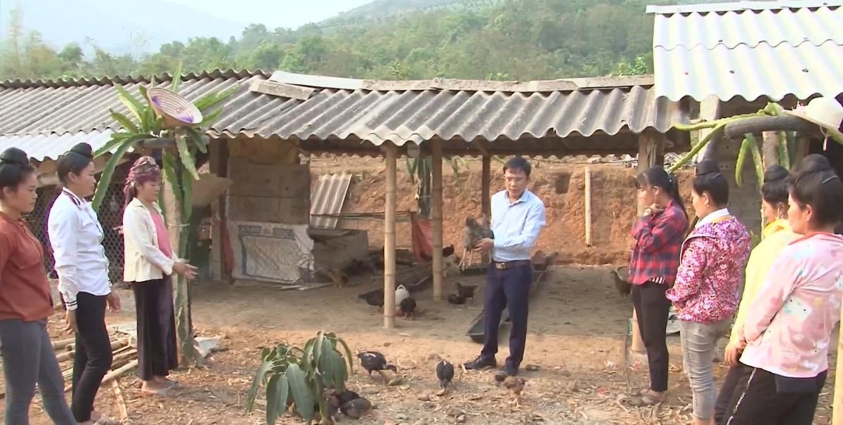Lớp dạy kỹ thuật chăn nuôi gà vườn đồi cho hội viên nông dân huyện Tuần Giáo. Ảnh: H. Châu. Lớp dạy kỹ thuật chăn nuôi gà vườn đồi cho hội viên nông dân huyện Tuần Giáo. Ảnh: H. Châu.