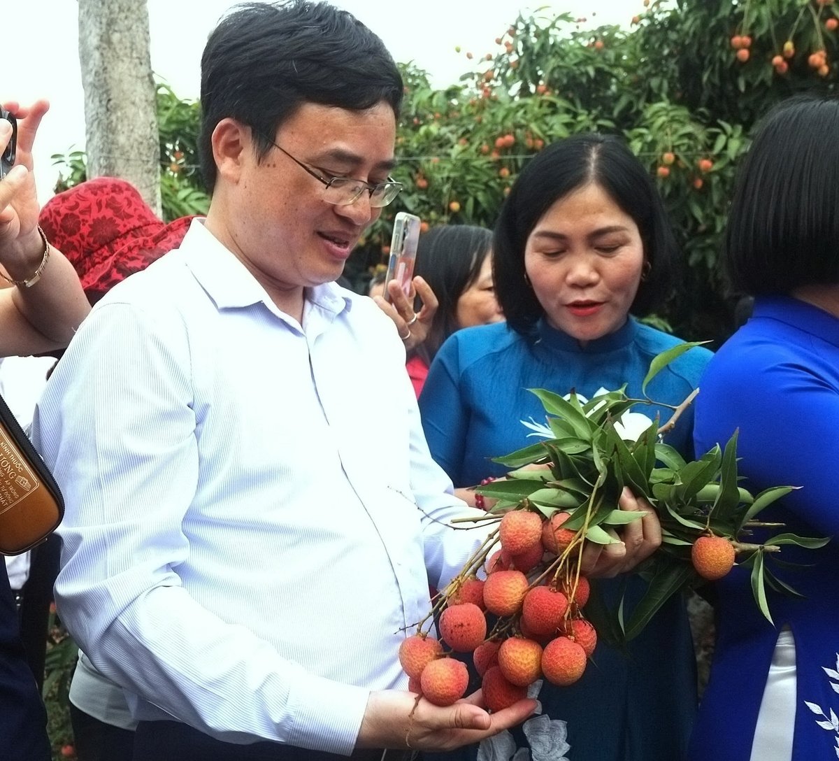 Ông Nguyễn Quốc Mạnh - Phó Cục trưởng Cục Trồng trọt và Bảo vệ thực vật tại Lễ mở vườn vải thiều Thanh Hà năm 2025. Ảnh: Linh Linh. Ông Nguyễn Quốc Mạnh - Phó Cục trưởng Cục Trồng trọt và Bảo vệ thực vật tại Lễ mở vườn vải thiều Thanh Hà năm 2025. Ảnh: Linh Linh.