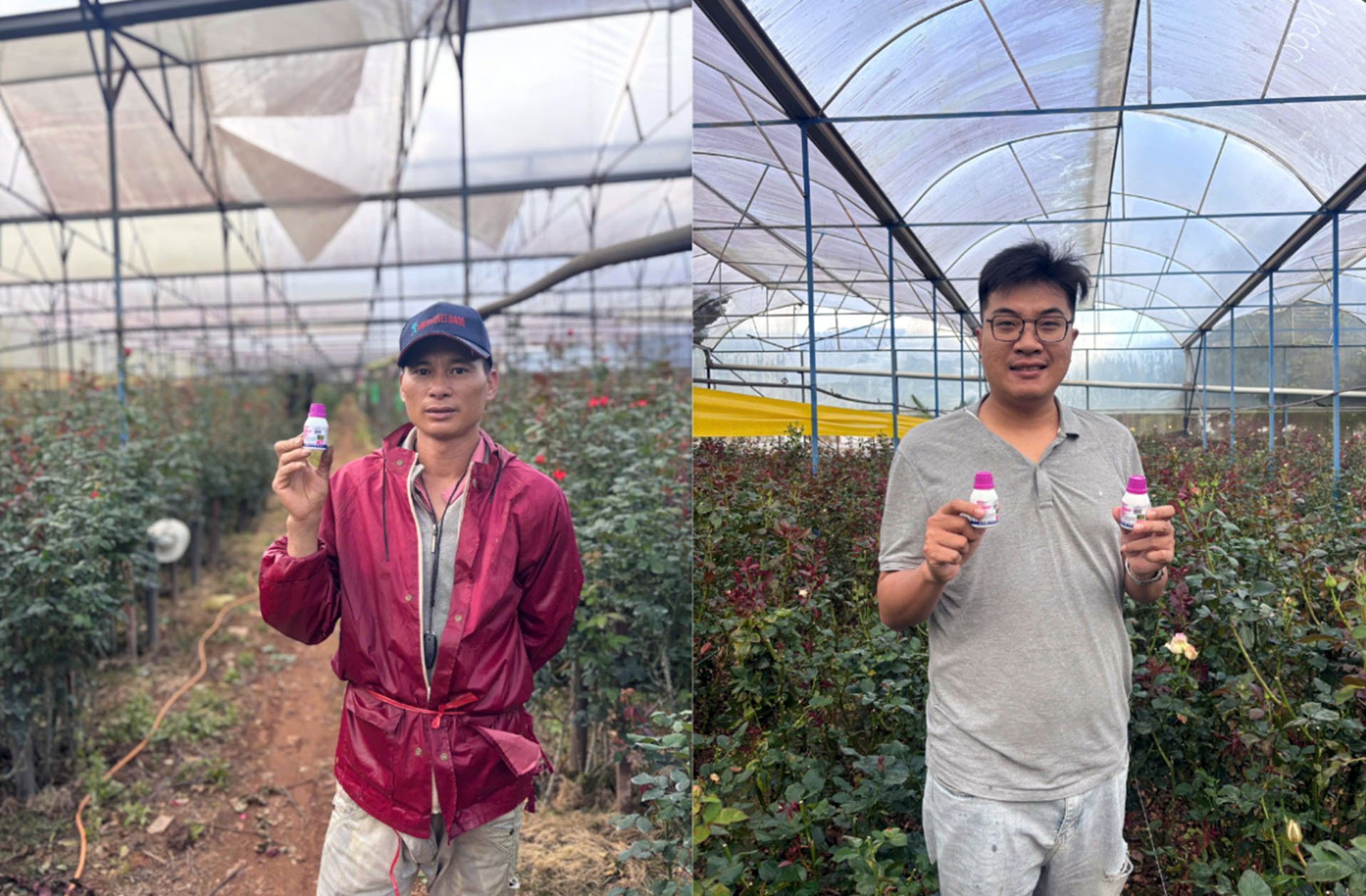 Sản phẩm chính hiệu của Nihon Nohyaku Nhật Bản an toàn với thiên địch và môi trường. Sản phẩm chính hiệu của Nihon Nohyaku Nhật Bản an toàn với thiên địch và môi trường.