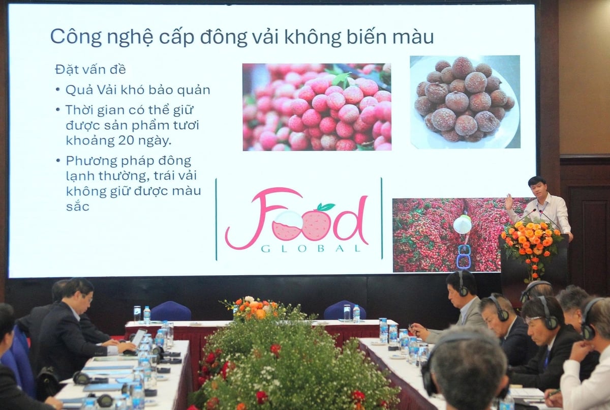 The 4th Vietnam–Japan Agricultural Technology and Trade Connectivity Workshop was jointly organized by the Vietnam Academy of Agricultural Sciences (VAAS) and several Japanese enterprises. Photo: Phuong Chi.