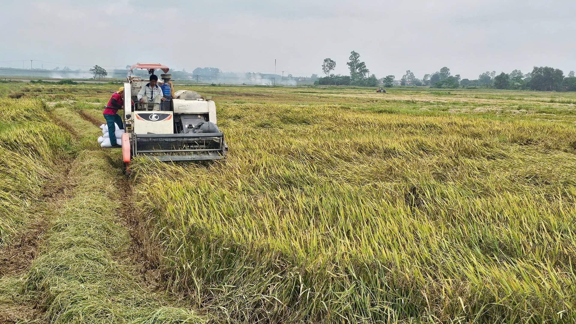 Ứng dụng khí tượng thủy văn giúp nông dân điều chỉnh lịch canh tác hợp lý, từ đó nâng cao hiệu quả sản xuất và thích ứng với biến đổi khí hậu. Ảnh: T.Phùng. Ứng dụng khí tượng thủy văn giúp nông dân điều chỉnh lịch canh tác hợp lý, từ đó nâng cao hiệu quả sản xuất và thích ứng với biến đổi khí hậu. Ảnh: T.Phùng.