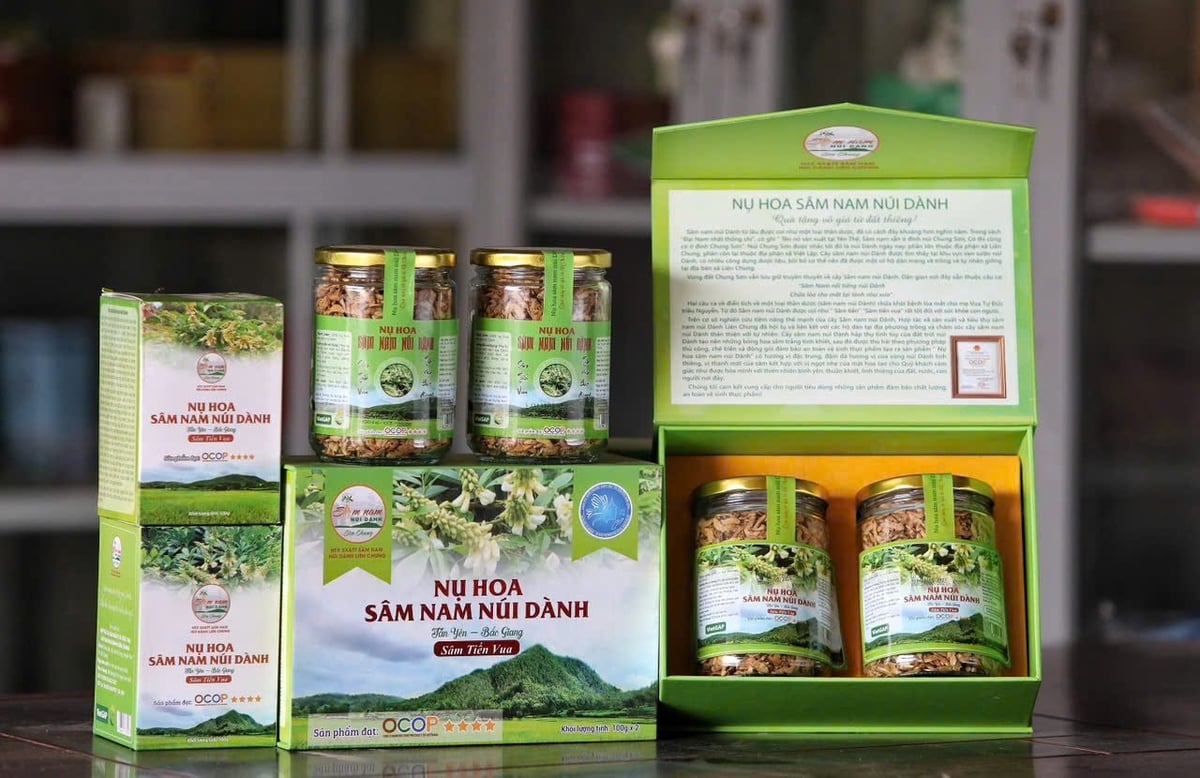 Sản phẩm Trà nụ hoa Sâm Nam núi Dành đã được công nhận OCOP 4 sao của Bắc Giang từ năm 2022. Ảnh: Phạm Minh. Sản phẩm Trà nụ hoa Sâm Nam núi Dành đã được công nhận OCOP 4 sao của Bắc Giang từ năm 2022. Ảnh: Phạm Minh.