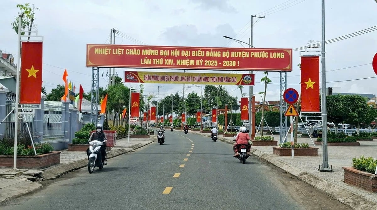 Các tuyến đường nông thôn cờ hoa chào mừng sự kiện huyện Phước Long đạt chuẩn NTM nâng cao. Ảnh: Trọng Linh.