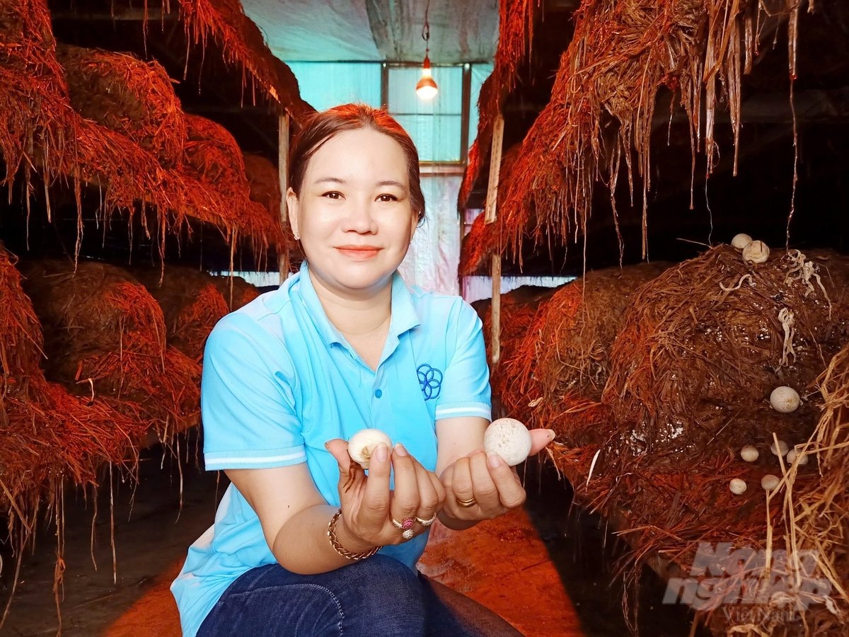 Địa phương đẩy mạnh phát triển các mô hình nông nghiệp tuần hoàn, kết hợp phát triển sản phẩm đặc trưng phục vụ chương trình OCOP. Ảnh: KT. Địa phương đẩy mạnh phát triển các mô hình nông nghiệp tuần hoàn, kết hợp phát triển sản phẩm đặc trưng phục vụ chương trình OCOP. Ảnh: KT.