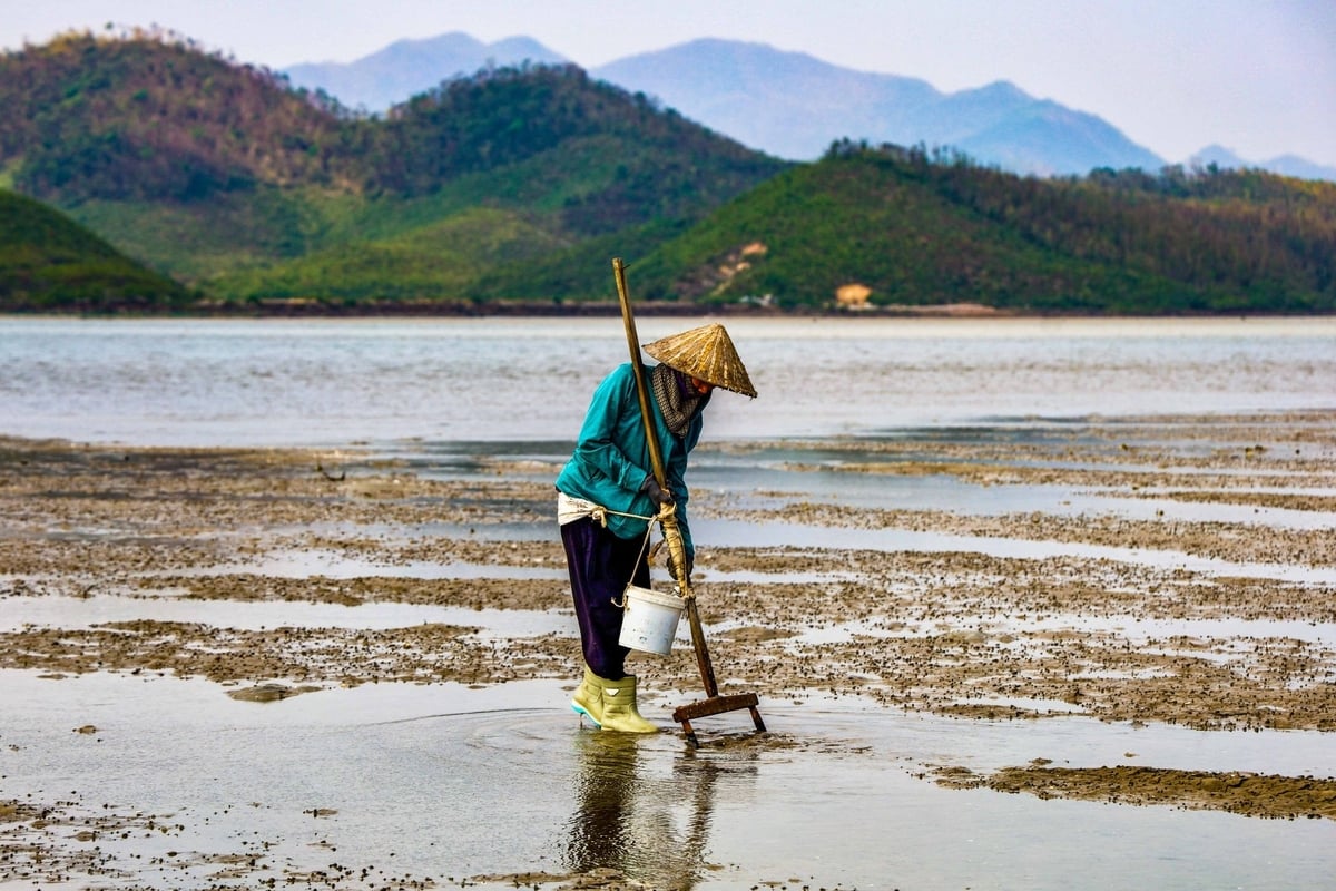 Bà Vũ Thị Sáu đang đi tìm sá sùng. Ảnh: Tường Vy.