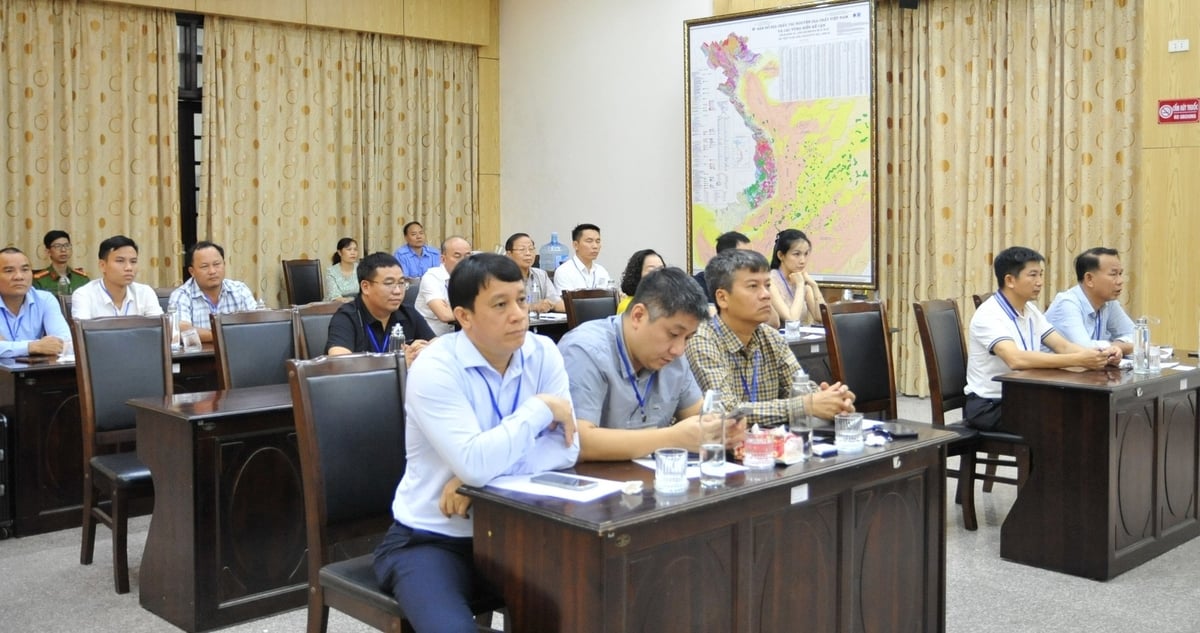 Các tổ chức tham gia đấu giá quyền khai thác khoáng sản mỏ cát thạch anh, thành phố Huế. Ảnh: Phú Quang. Các tổ chức tham gia đấu giá quyền khai thác khoáng sản mỏ cát thạch anh, thành phố Huế. Ảnh: Phú Quang.