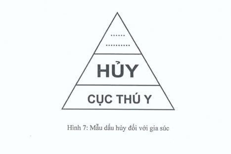 Mẫu dấu hủy đối với gia súc quy định tại Phụ lục IV Thông tư 09/2016/TT-BNNPTNT ngày 1/6/2016 của Bộ NN-PTNT (nay là Bộ Nông nghiệp và Môi trường). Ảnh: Chụp từ Thông tư 09. Mẫu dấu hủy đối với gia súc quy định tại Phụ lục IV Thông tư 09/2016/TT-BNNPTNT ngày 1/6/2016 của Bộ NN-PTNT (nay là Bộ Nông nghiệp và Môi trường). Ảnh: Chụp từ Thông tư 09.
