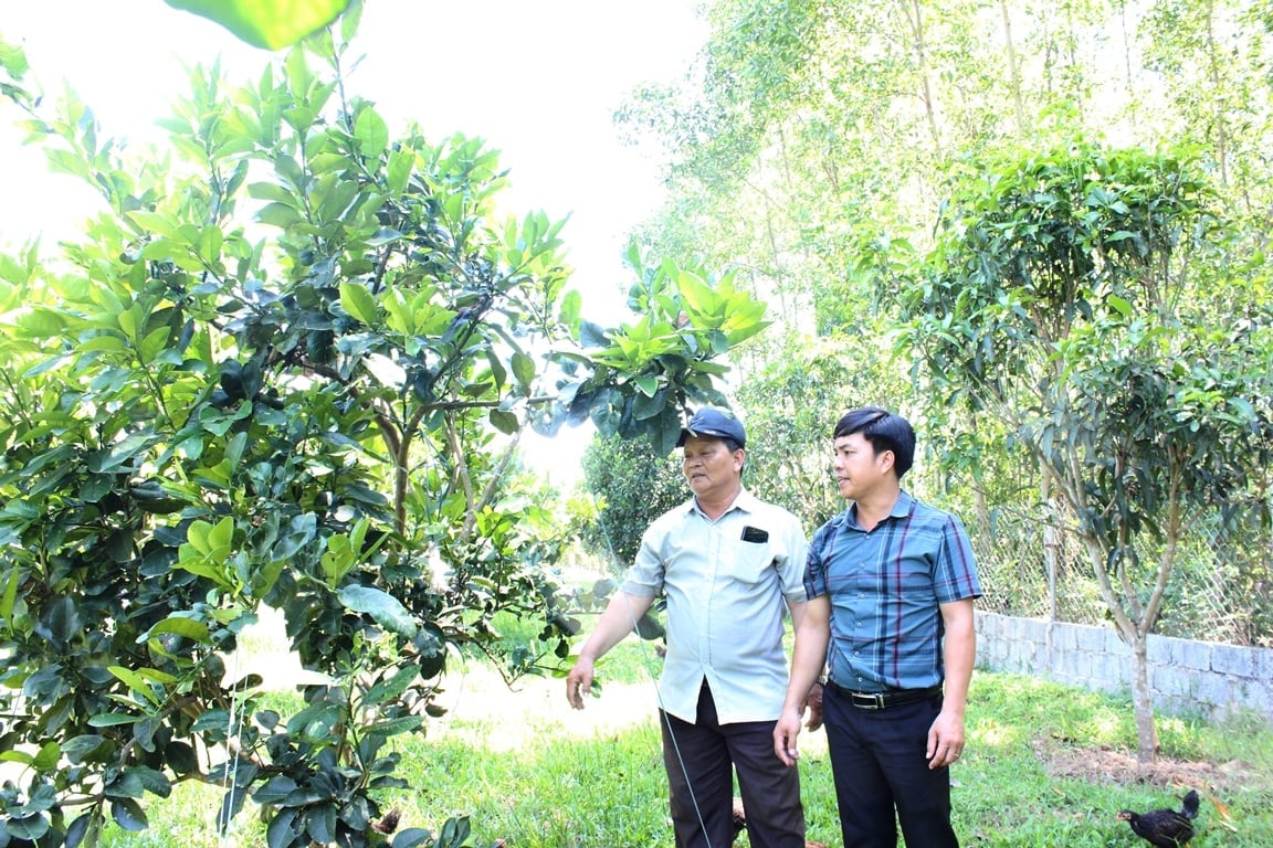 Giai đoạn 2021-2025, Đà Nẵng có gần 9000 hộ thoát nghèo. Ảnh: Lan Anh. Giai đoạn 2021-2025, Đà Nẵng có gần 9000 hộ thoát nghèo. Ảnh: Lan Anh.