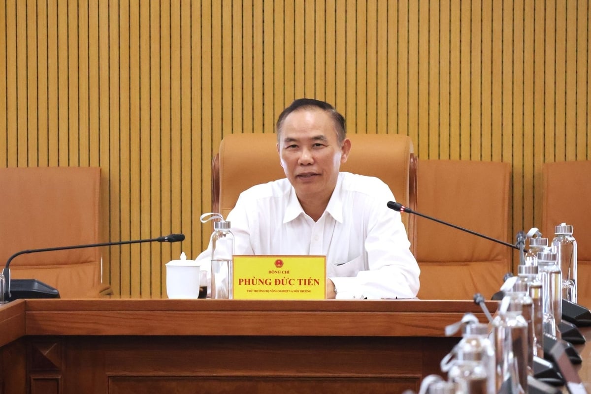 Thứ trưởng Phùng Đức Tiến, Ủy viên Ban Thường vụ Đảng ủy Bộ Nông nghiệp và Môi trường chủ trì cuộc họp. Ảnh: Trung Nguyên. Thứ trưởng Phùng Đức Tiến, Ủy viên Ban Thường vụ Đảng ủy Bộ Nông nghiệp và Môi trường chủ trì cuộc họp. Ảnh: Trung Nguyên.