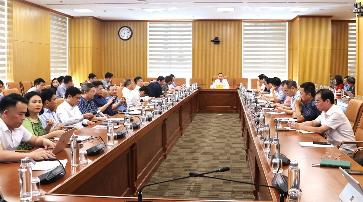 Thứ trưởng Phùng Đức Tiến yêu cầu thành lập ngay các tiểu ban để chuẩn bị tổ chức các hoạt động kỷ niệm. Ảnh: Trung Nguyên. Thứ trưởng Phùng Đức Tiến yêu cầu thành lập ngay các tiểu ban để chuẩn bị tổ chức các hoạt động kỷ niệm. Ảnh: Trung Nguyên.
