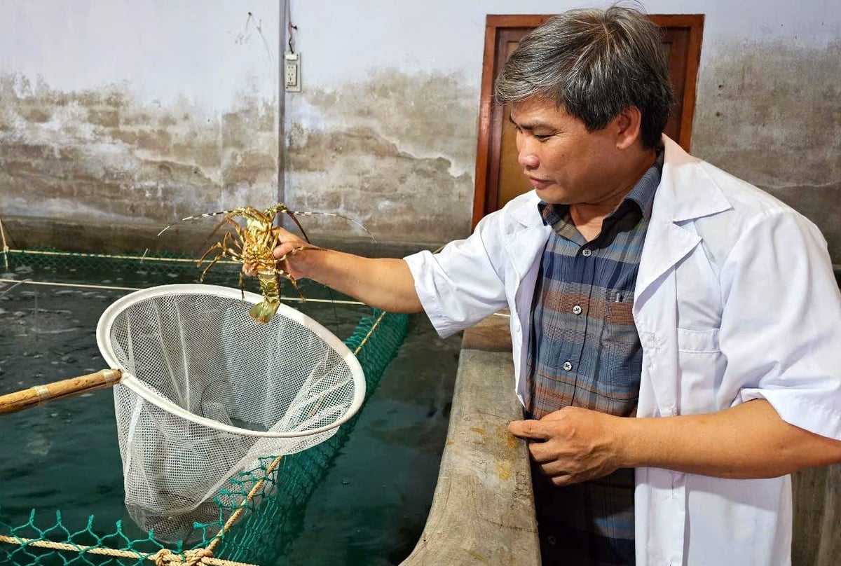 Viện Nghiên cứu nuôi trồng thủy sản III đang nỗ lực nghiên cứu khoa học để thúc đẩy phát triển nuôi biển. Ảnh: KS.