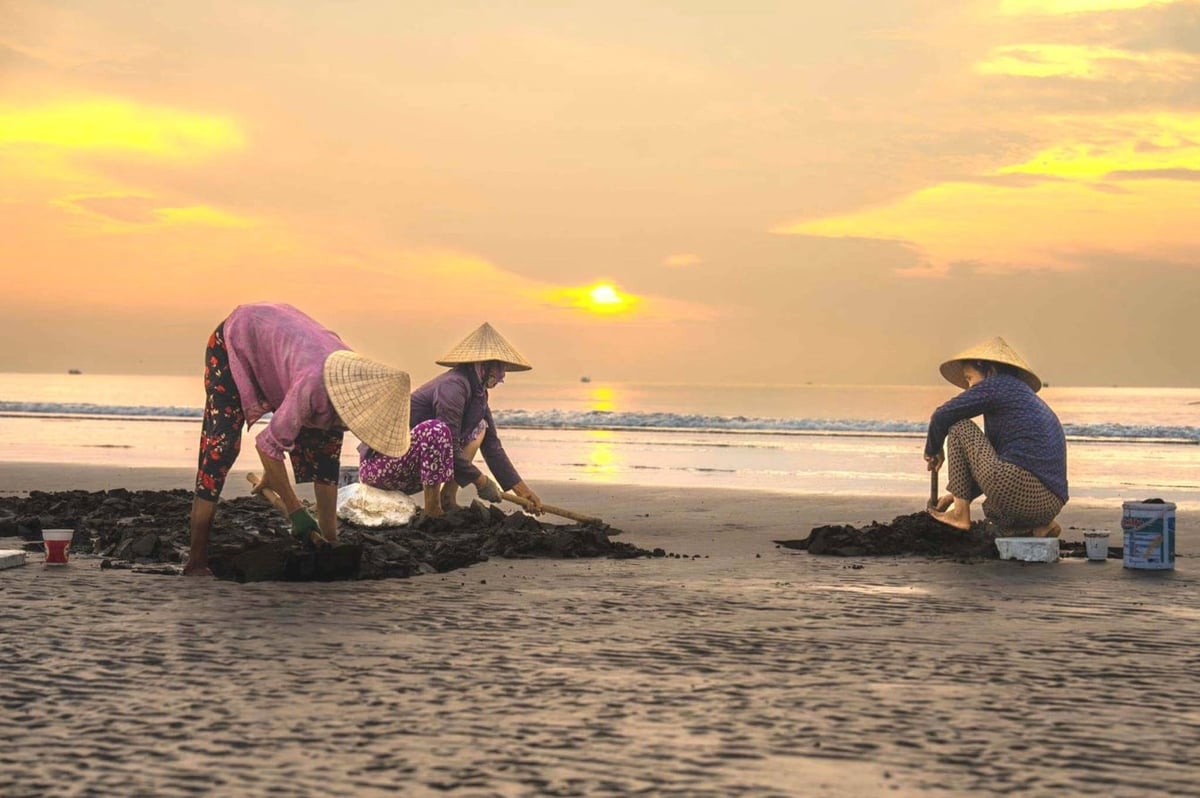 Những người đi về phía biển, khom lưng phía biển. Ảnh: Báo Công Lý. Những người đi về phía biển, khom lưng phía biển. Ảnh: Báo Công Lý.