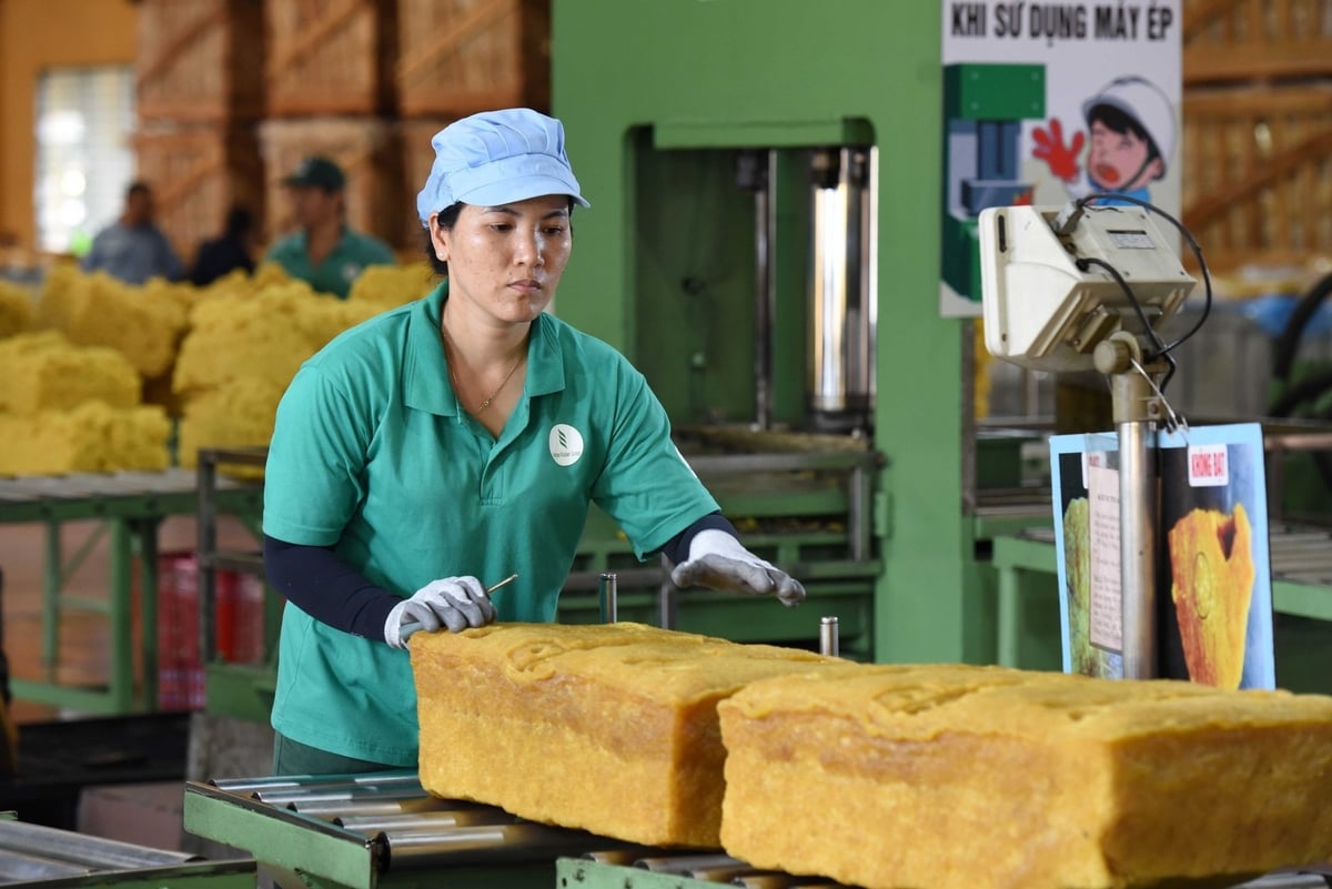 VRG đạt kết quả sản xuất, kinh doanh ấn tượng trong năm 2024. Ảnh: VRG. VRG đạt kết quả sản xuất, kinh doanh ấn tượng trong năm 2024. Ảnh: VRG.