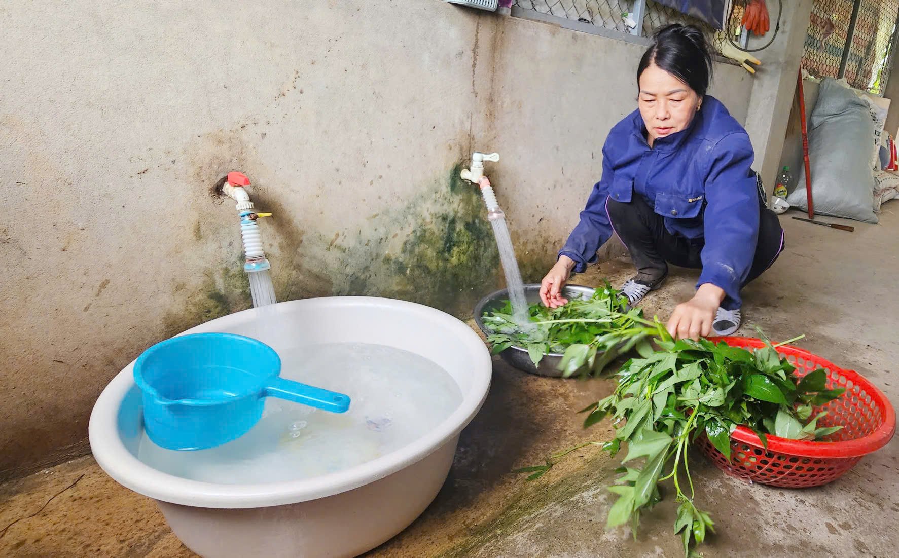 Gia đình bà Đoàn Thị Doan và nhiều hộ dân ở xã Phú Thủy không còn cảnh thiếu nước sạch. Ảnh: T. Phùng.