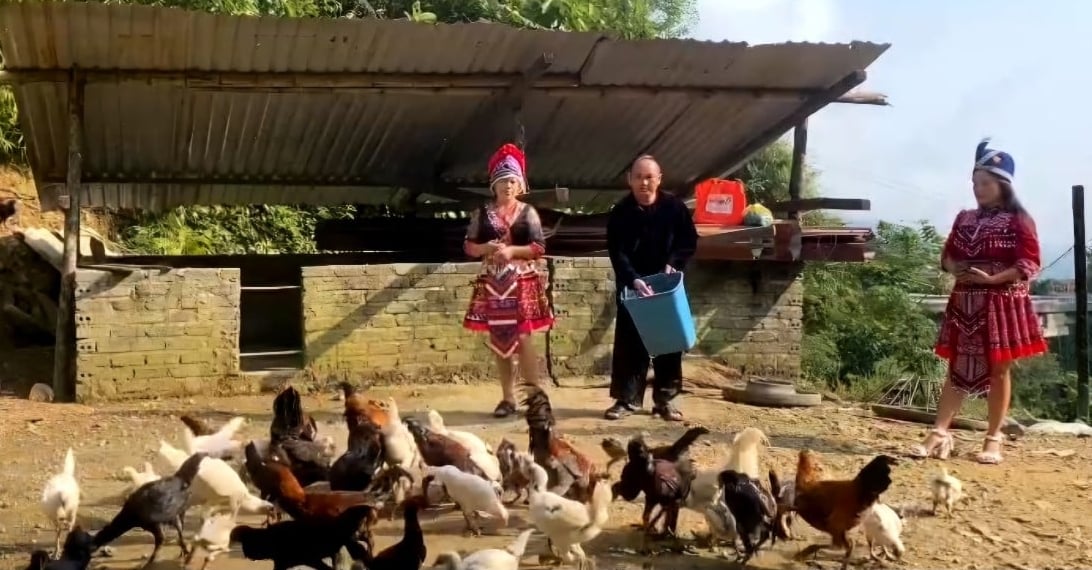 Gà đen mang lại thu nhập hàng trăm triệu đồng mỗi năm cho anh Vành. Ảnh: Quốc Toản. Gà đen mang lại thu nhập hàng trăm triệu đồng mỗi năm cho anh Vành. Ảnh: Quốc Toản.