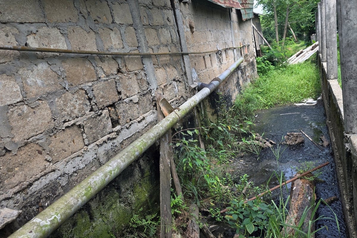 Nước thải lợn tràn ra ngoài hệ thống bioga. Ảnh: Võ Dũng. Nước thải lợn tràn ra ngoài hệ thống bioga. Ảnh: Võ Dũng.