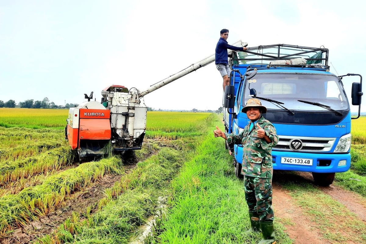 Người sản xuất, người tiêu dùng và môi trường đều hưởng lợi nhờ sản xuất lúa hữu cơ. Ảnh: Võ Dũng. Người sản xuất, người tiêu dùng và môi trường đều hưởng lợi nhờ sản xuất lúa hữu cơ. Ảnh: Võ Dũng.