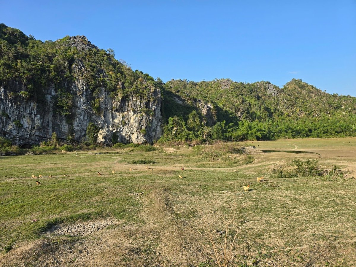 Những thung lũng được bao quanh bởi đá vôi, tách biệt với bên ngoài là điều kiện lí tưởng để chăn nuôi giống gà quý này. Ảnh: Đinh Mười. Những thung lũng được bao quanh bởi đá vôi, tách biệt với bên ngoài là điều kiện lí tưởng để chăn nuôi giống gà quý này. Ảnh: Đinh Mười.