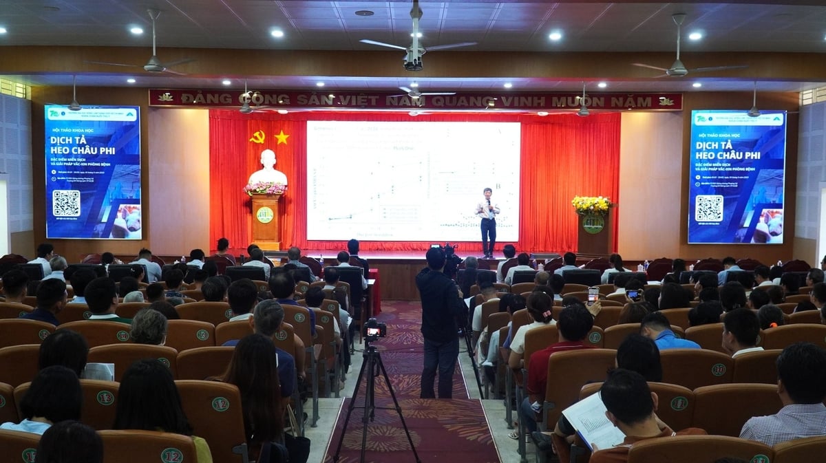 Trong bối cảnh dịch tả heo đang đe dọa ngành chăn nuôi toàn cầu, việc hiểu đúng bản chất miễn dịch và ứng dụng vaccine hiệu quả sẽ là chìa khóa kiểm soát dịch bệnh bền vững trong tương lai. Ảnh: Trần Phi. Trong bối cảnh dịch tả heo đang đe dọa ngành chăn nuôi toàn cầu, việc hiểu đúng bản chất miễn dịch và ứng dụng vaccine hiệu quả sẽ là chìa khóa kiểm soát dịch bệnh bền vững trong tương lai. Ảnh: Trần Phi.