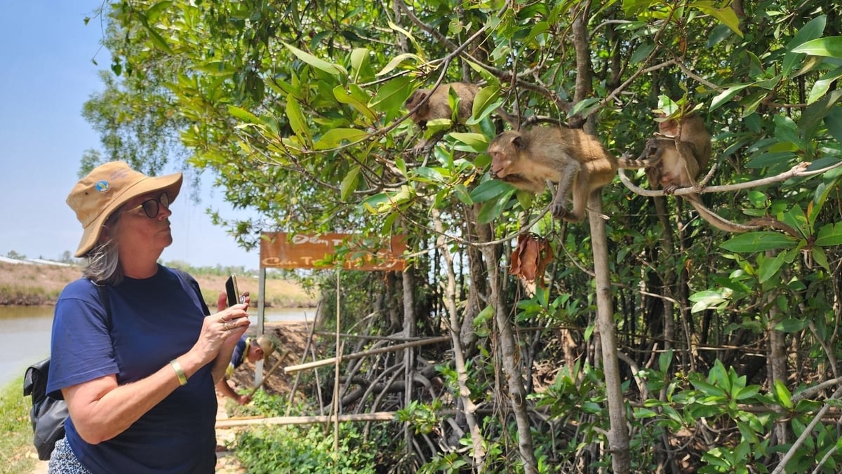 Ngoài nâng cao sinh kế cho người dân sống dưới tán rừng, mô hình sinh thái còn góp phần quan trọng bảo tồn động vật hoang dã. Ảnh: Kim Anh. Ngoài nâng cao sinh kế cho người dân sống dưới tán rừng, mô hình sinh thái còn góp phần quan trọng bảo tồn động vật hoang dã. Ảnh: Kim Anh.