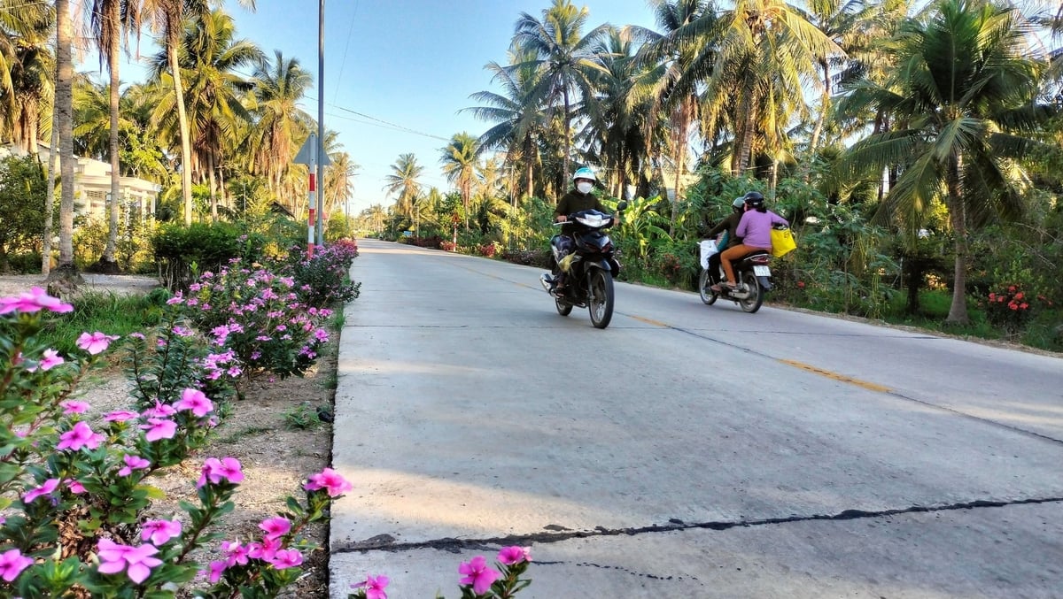 Đường giao thông nông thôn Bến Tre sạch đẹp, khang trang nhờ xây dựng nông thôn mới. Ảnh: Minh Đảm. Đường giao thông nông thôn Bến Tre sạch đẹp, khang trang nhờ xây dựng nông thôn mới. Ảnh: Minh Đảm.