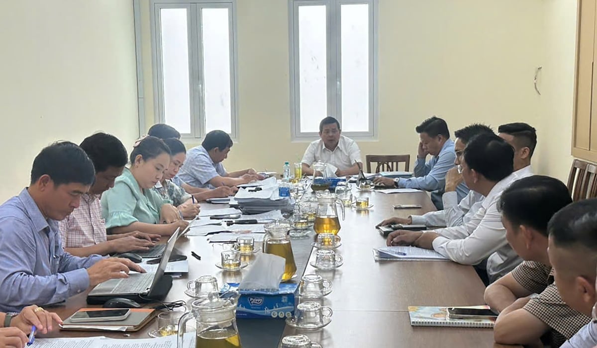 Ông Nguyễn Toàn Thắng - Giám đốc Sở Nông nghiệp và Môi trường TP.HCM - Tổ trưởng Tổ công tác 5013 chủ trì buổi làm việc với đại diện các chủ đầu tư để tháo gỡ các vướng mắc có liên quan đến việc cấp 'sổ hồng' cho người mua nhà. Ảnh: Tường Tú. Ông Nguyễn Toàn Thắng - Giám đốc Sở Nông nghiệp và Môi trường TP.HCM - Tổ trưởng Tổ công tác 5013 chủ trì buổi làm việc với đại diện các chủ đầu tư để tháo gỡ các vướng mắc có liên quan đến việc cấp 'sổ hồng' cho người mua nhà. Ảnh: Tường Tú.