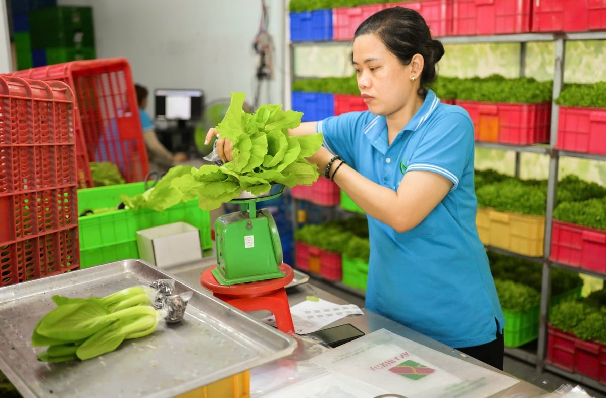 Doanh nghiệp, hợp tác xã vẫn còn gặp nhiều thách thức khi chuyển đổi xanh. Ảnh: Anh Tuấn. Doanh nghiệp, hợp tác xã vẫn còn gặp nhiều thách thức khi chuyển đổi xanh. Ảnh: Anh Tuấn.
