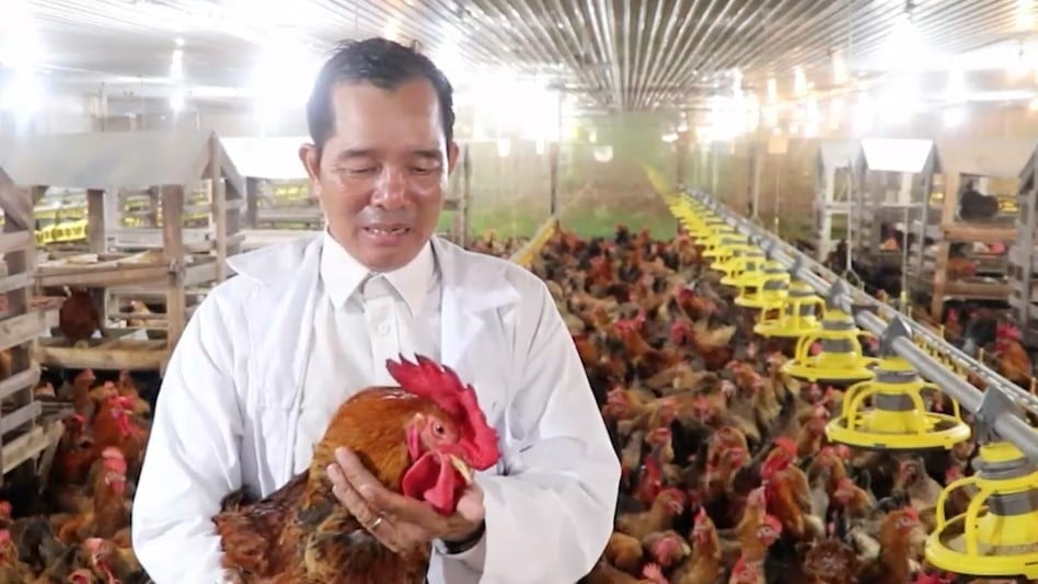 Trang trại gà của ông Khương được đầu tư, xây dựng đúng tiêu chuẩn an toàn sinh học, nuôi gà đẻ theo quy trình khép kín. Ảnh: Trần Phi.